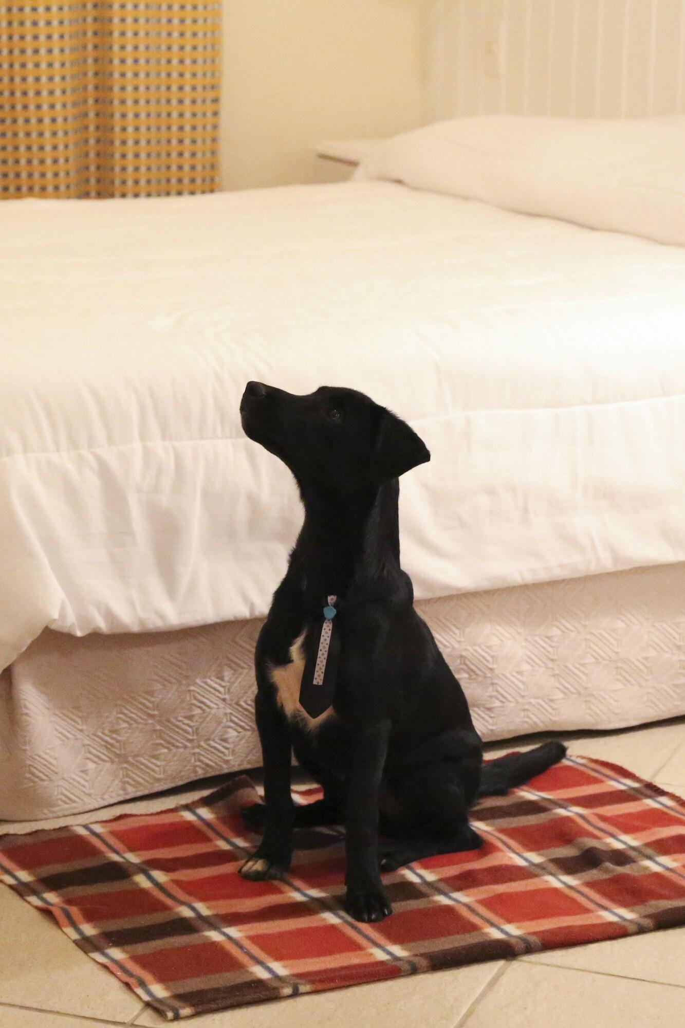 Vitoria Hotel Residence Newport Campinas  Bagian luar foto